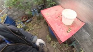 Обогрев земли в теплице.