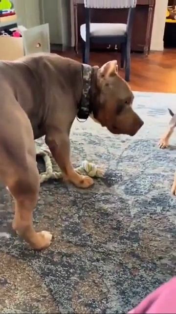 Укусил за титю смотреть онлайн