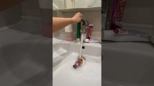 Я новая лошадка знакомьтесь!