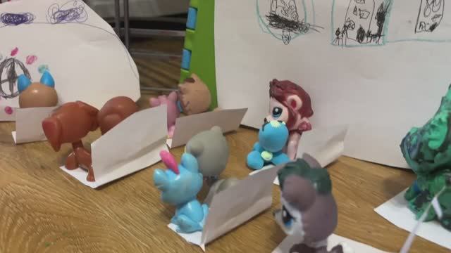 Самолёт с питомцами