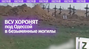 Похоронили, как хомячков: тела ВСУшников массово скидывают в безымянные могилы под Одессой