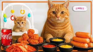 Мультики про животных для детей. Котики мило кушают курочку Ростикс и пьют Коллу. Мультики малышам