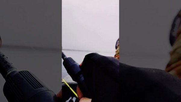 Лещ для гостя р.Свирь