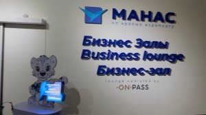 Аэропорт в Бишкеке «Манас»( международный) и бизнес зал.