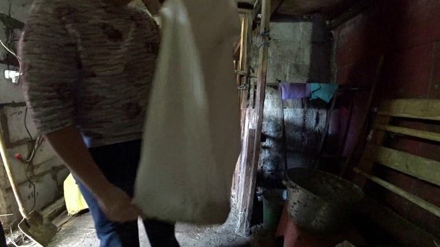 Влог от 02.11.2021 смотреть онлайн