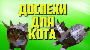Доспехи Для Кота _ Приколы С Котами _ С Озвучкой _ Скетч