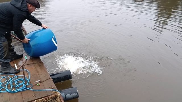 Forest Fishing 06.12.25