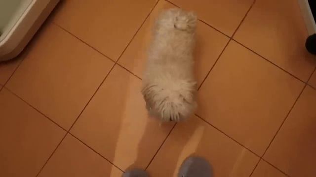 Я БОЛЬШЕ НЕ БУДУ СНИМАТЬ ДЛЯ ВАС | 2 СЕРИЯ смотреть онлайн