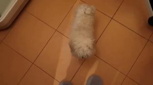 Я БОЛЬШЕ НЕ БУДУ СНИМАТЬ ДЛЯ ВАС | 2 СЕРИЯ