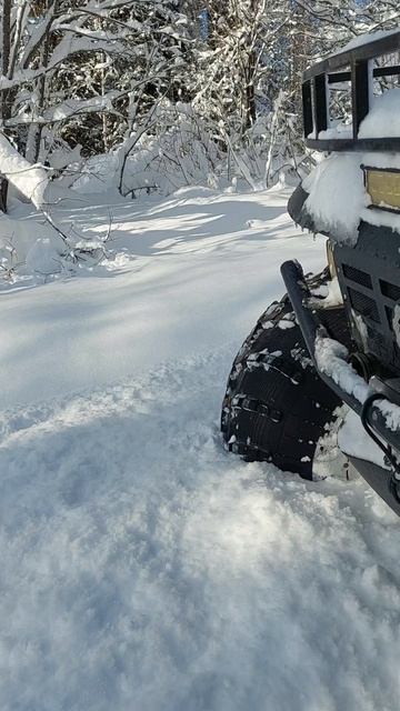 А как вы встречаете зиму? смотреть онлайн