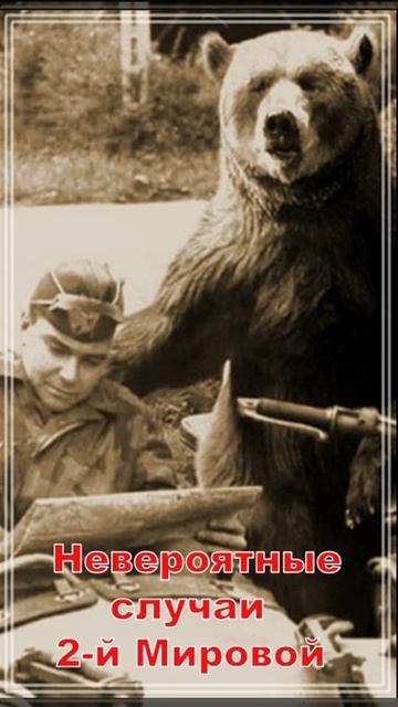 Невероятные случаи 2 мировой... смотреть онлайн