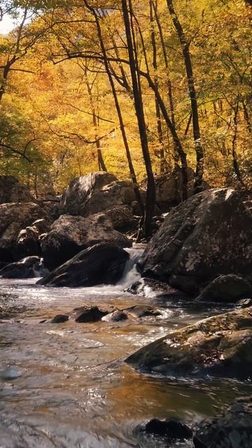 Ручей смотреть онлайн