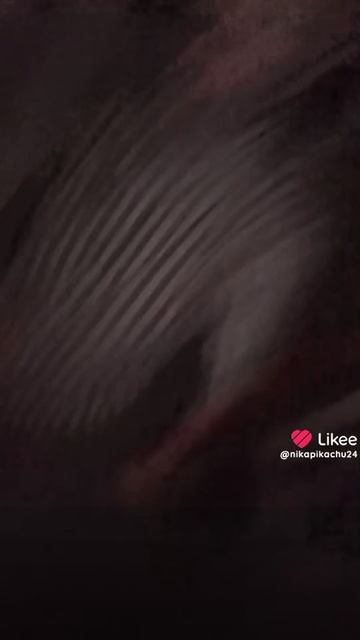 E4f45dce-d9f0-4522-a2ba-ebc0d86551e7-1_all_8982.mp4