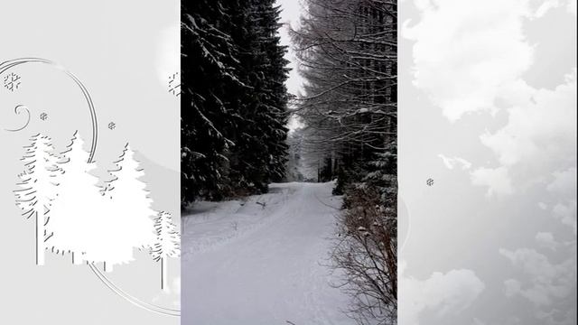 Лесные зарисовки.