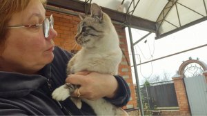 НАДЕЖДА УМИРАЕТ ПОСЛЕДНЕЙ...