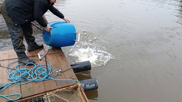 Forest Fishing 06.12.25