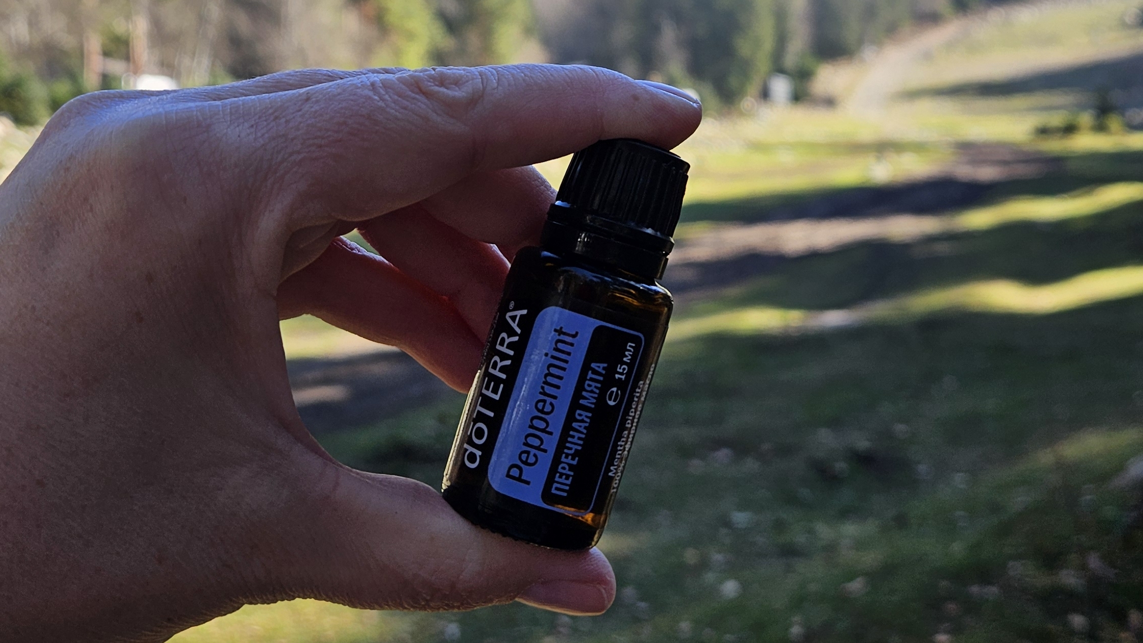 Как аромат может стать вашим помощником в исцелении и раскрытии потенциала