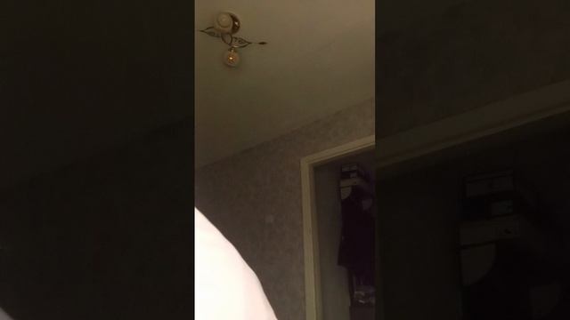 2616.mp4 смотреть онлайн