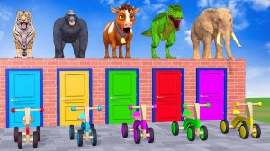 Веселые игры с слоном, гориллой, бегемотом, тигром - 3D игра с животными - Забавные 3D животные