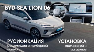 Byd Sea lion 06 -диагностика, обновление, русификация монитора, приборной панели, SIM, приложения