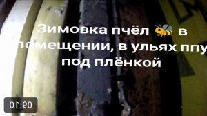 Как проходит зимовка пчёл 🐝, в помещении, в ульях ппу, под пленкой.