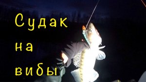 Рыбалка в ОТВЕС с лодки на ВИБЫ и БАЛАНСИРЫ.