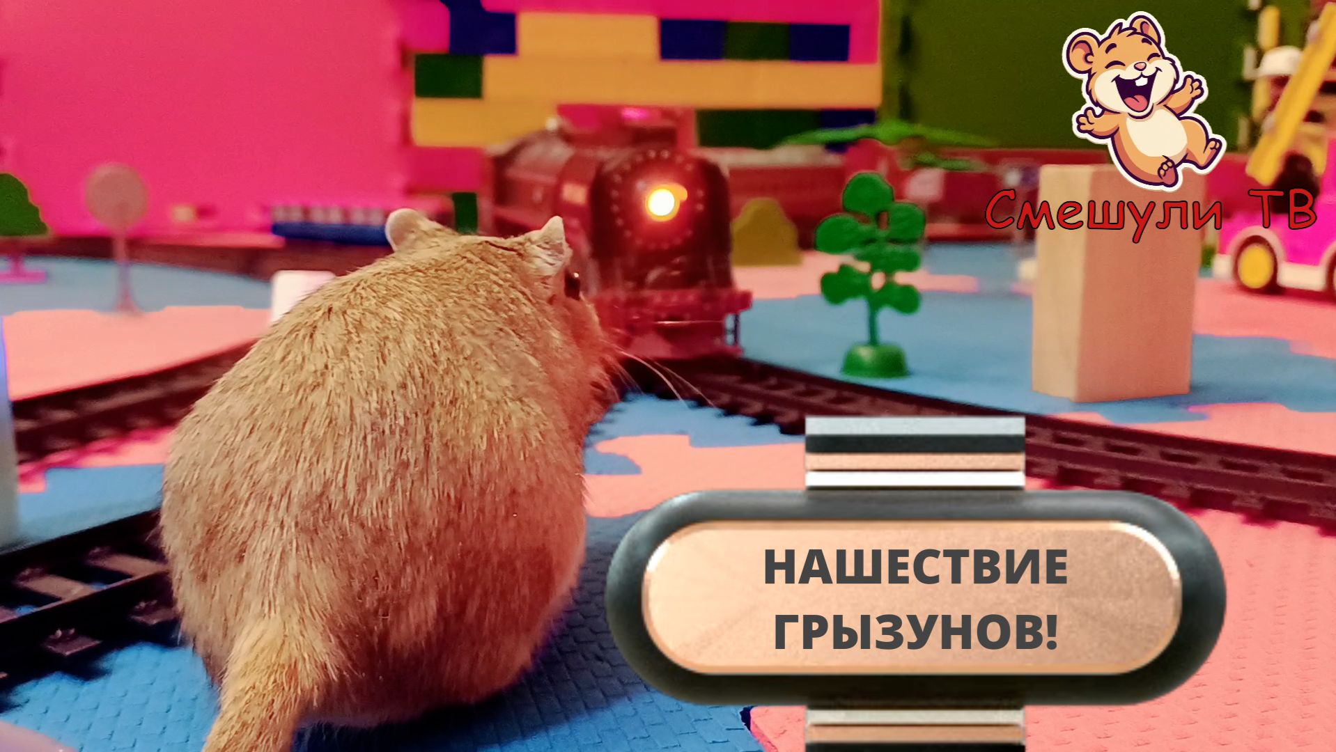 ДЕТСКАЯ ЖЕЛЕЗНАЯ ДОРОГА, НАШЕСТВИЕ ХОМЯКОВ-ПЕСЧАНОК!