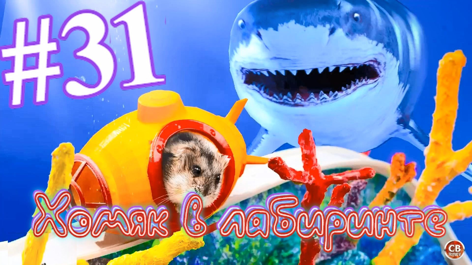 Хомяк в лабиринте (31 серия) смотреть онлайн