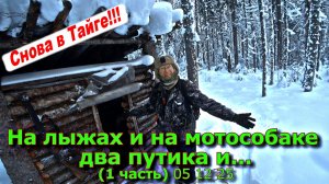На лыжах и на мотособаке два путика и... (1 часть) 05 12 25