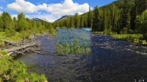 Туманом стелется рассвет