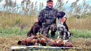 ОХОТА НА ФАЗАНА С СОБАКАМИ
АРХИВНОЕ ВИДЕО