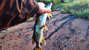 РЫБАЛКА НА СПИННИНГ НА РЕКЕ