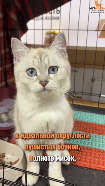 Безе (уже дома) смотреть онлайн