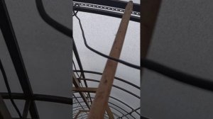 теплица 6 декабря #теплица #дача #садоводничество #огород #уходзатеплицей #зима #урожай