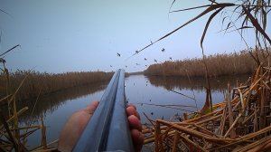 ПО ТРОПАМ КАБАНА, ГДЕ ТЫСЯЧИ УТОК. ЭКСТРЕМАЛЬНАЯ ОХОТА НА УТКУ с чучелами. ОХОТА В ДЕКАБРЕ