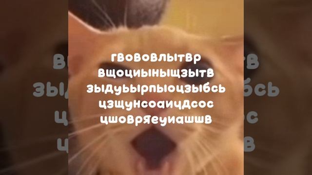 тунг сахур смотреть онлайн