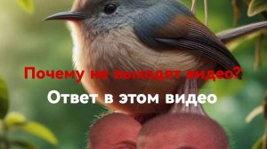 ПОЧЕМУ НЕ ВЫХОДЯТ ВИДЕО? ОТВЕТ НА ЭТОТ ВОПРОС