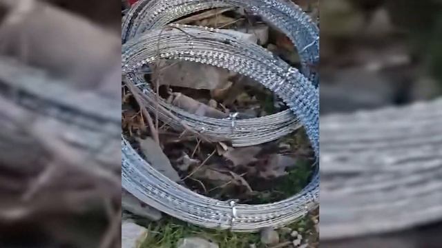 Сводка СВО с 29-го ноября по 5-е декабря смотреть онлайн