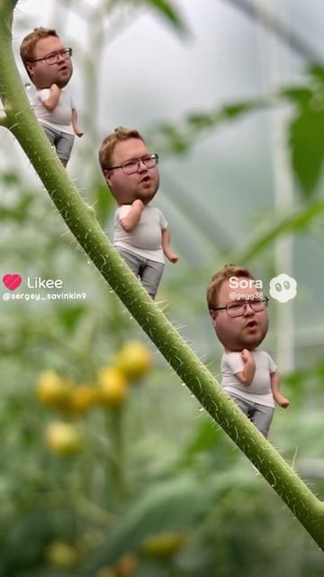 хех смотреть онлайн