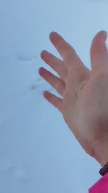 1000020602.mp4 смотреть онлайн