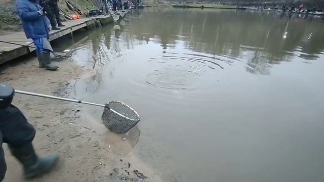 Поимка на резину смотреть онлайн