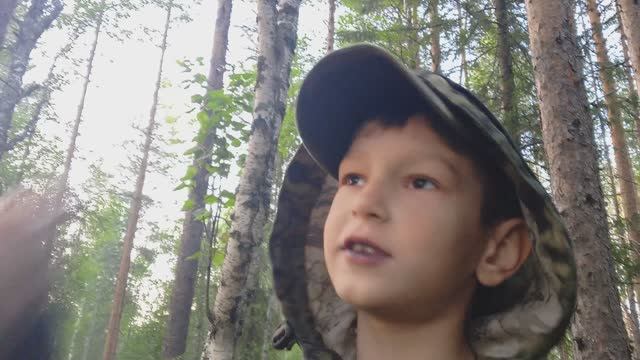 и снова черника 2025 смотреть онлайн