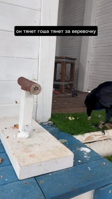 Подробней тут: смотреть онлайн