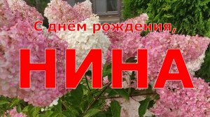 С ДНЁМ РОЖДЕНИЯ, НИНА