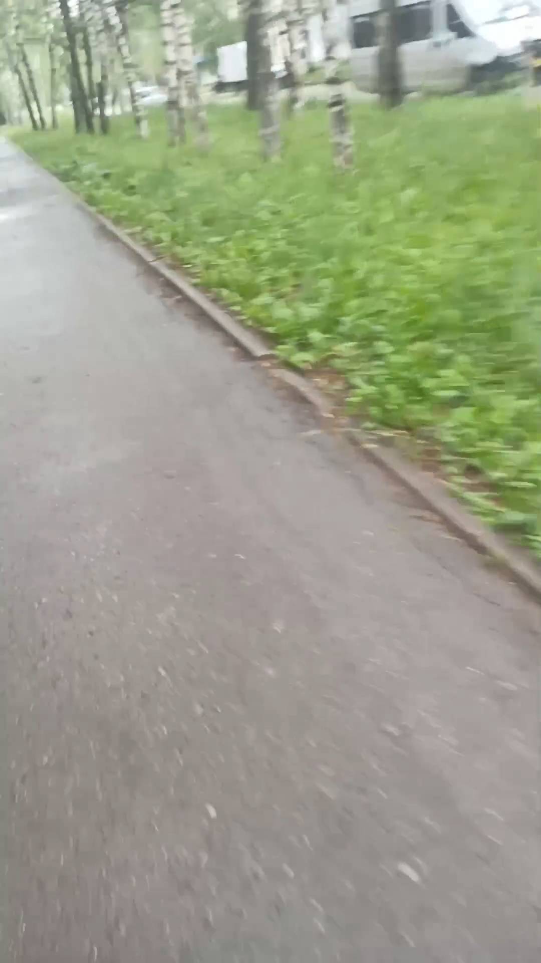 прогулка после дождя смотреть онлайн