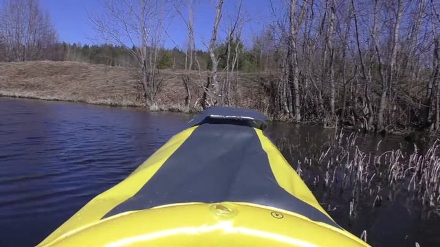 Боровики. часть 1.