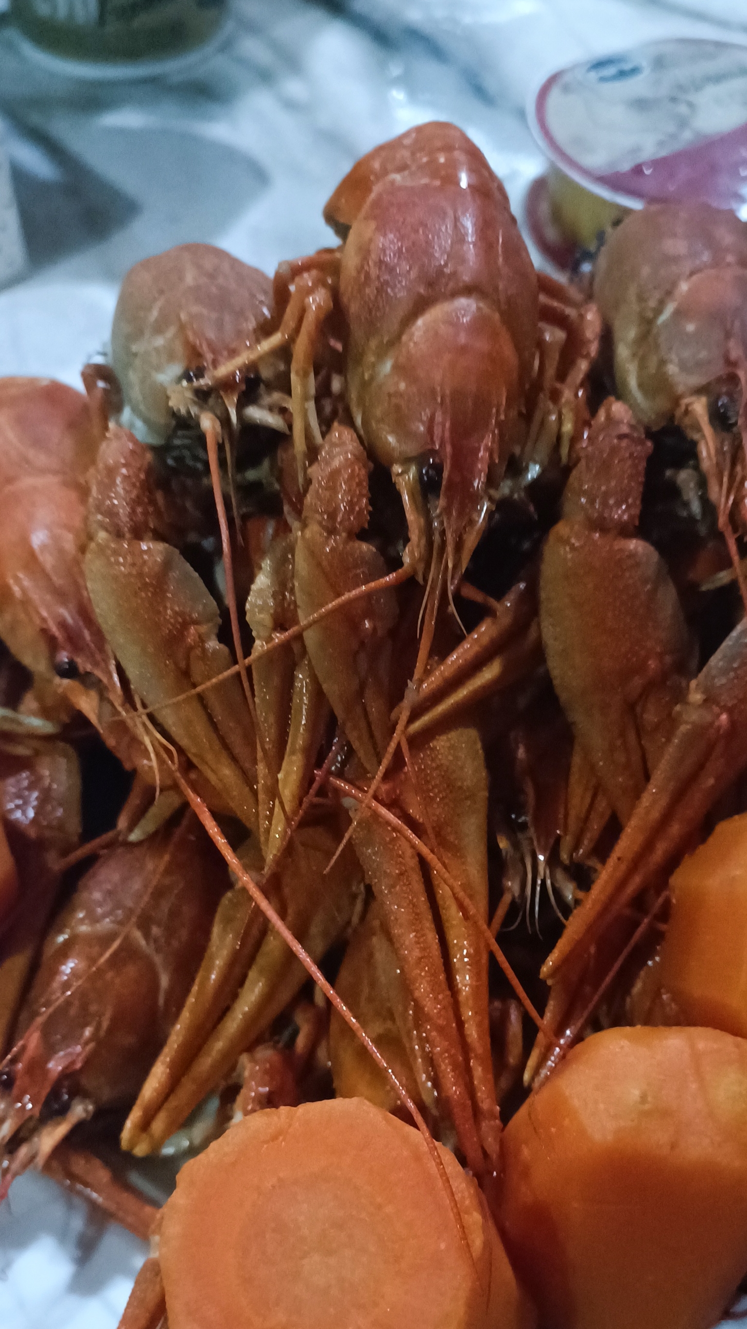 подводная охота зимой на корягах в жилках Главного Банка