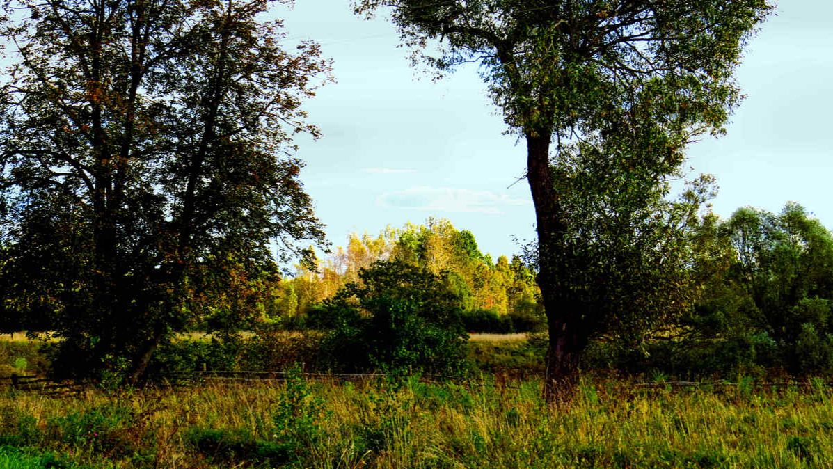 И опять моя любимая природа смотреть онлайн