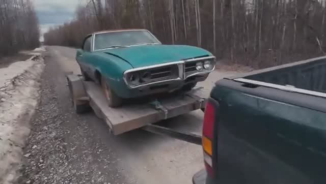 оживление мертвица старый фаерберд Old Firebird