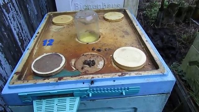 работа на пасеке в декабре, часть 3 , температура на улице плюс три градуса , 6.12.2025 смотреть онлайн